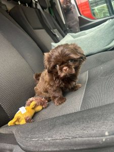 Walter 2